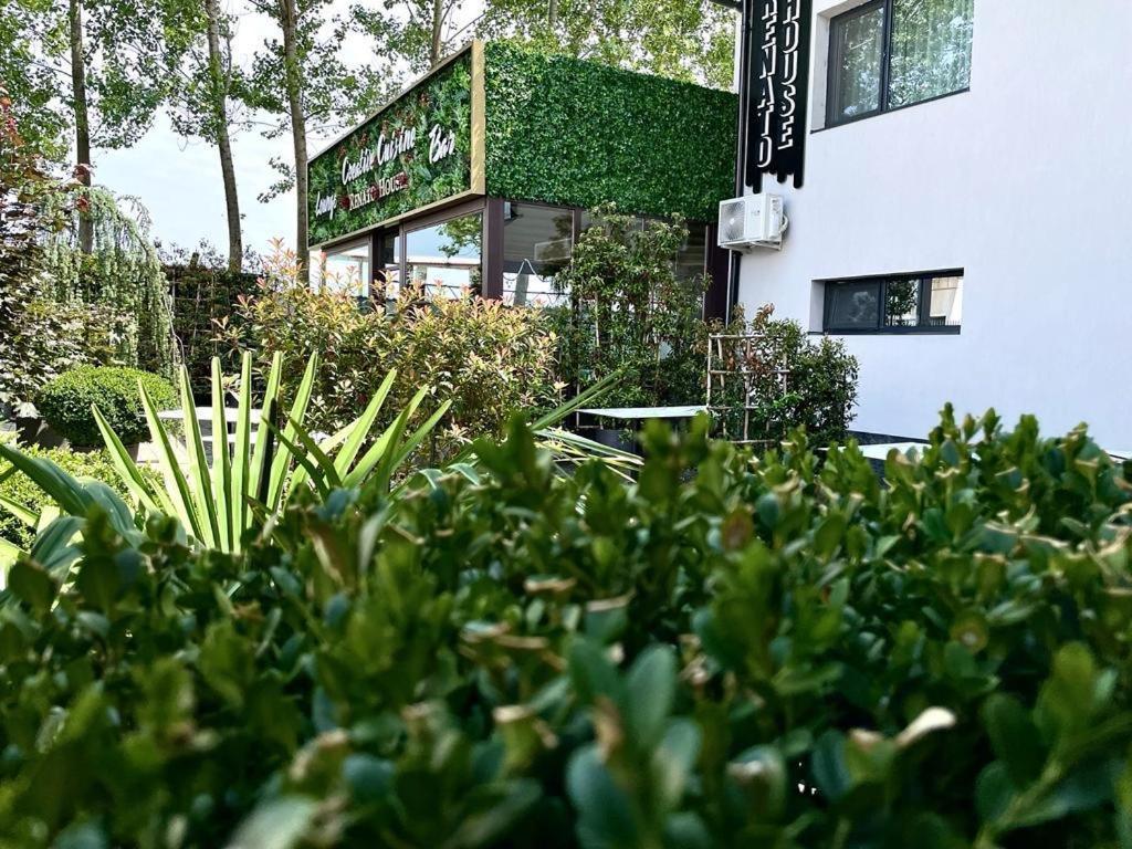 Отель Renato House Тыргу-Жиу Экстерьер фото